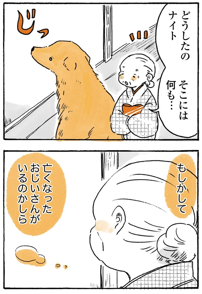 『姫ばあちゃんとナイト-ふたりはきょうも』より