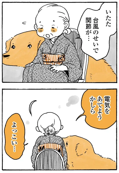 『姫ばあちゃんとナイト-ふたりはきょうも』より