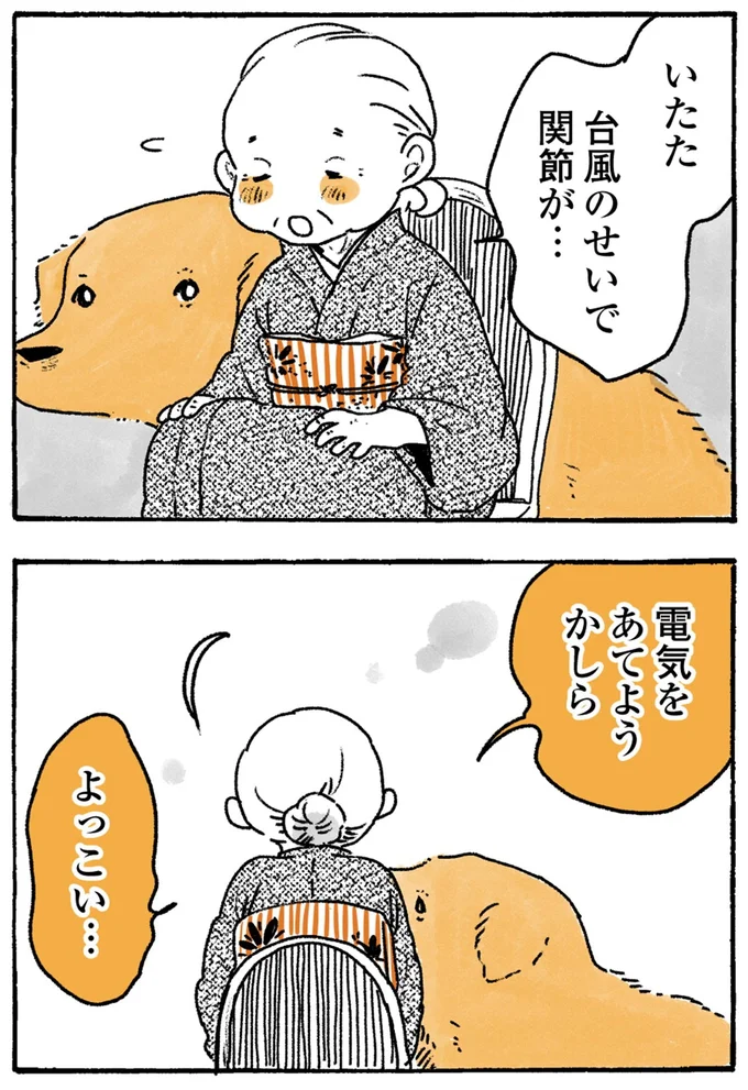 『姫ばあちゃんとナイト-ふたりはきょうも』より