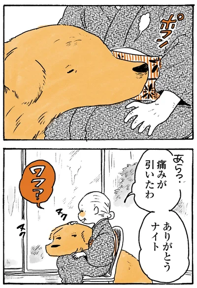 『姫ばあちゃんとナイト-ふたりはきょうも』より