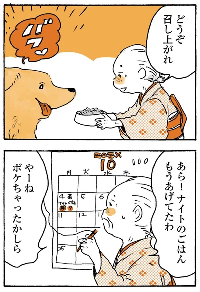 『姫ばあちゃんとナイト-ふたりはきょうも』より