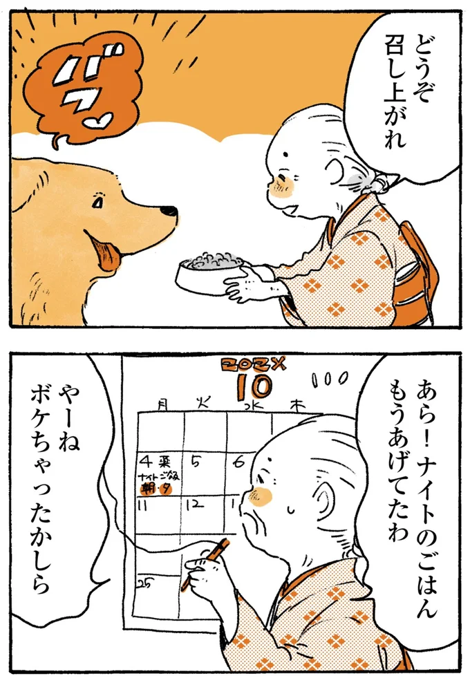 『姫ばあちゃんとナイト-ふたりはきょうも』より