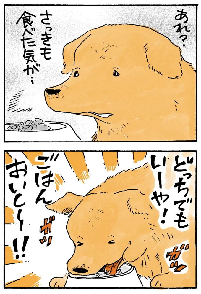 『姫ばあちゃんとナイト-ふたりはきょうも』より