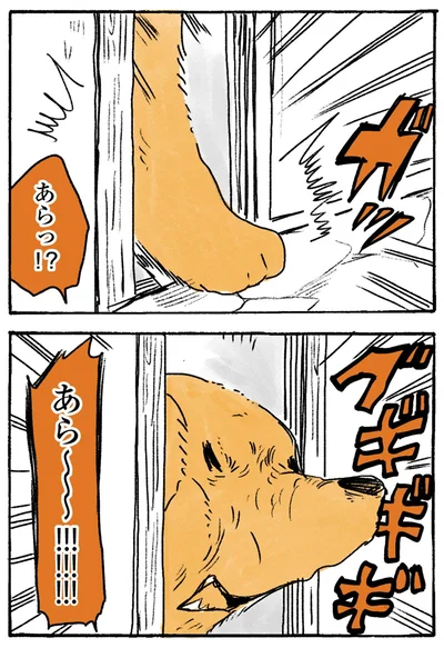『姫ばあちゃんとナイト-ふたりはきょうも』より