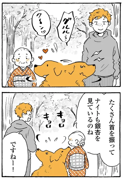 『姫ばあちゃんとナイト-ふたりはきょうも』より