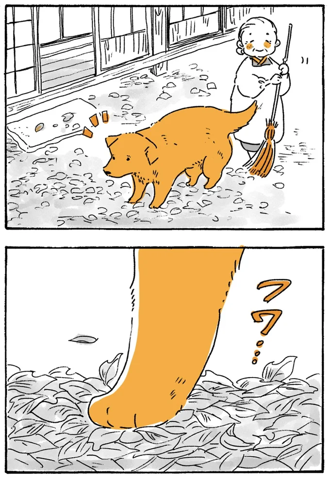 『姫ばあちゃんとナイト-ふたりはきょうも』より