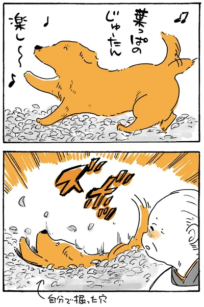 『姫ばあちゃんとナイト-ふたりはきょうも』より
