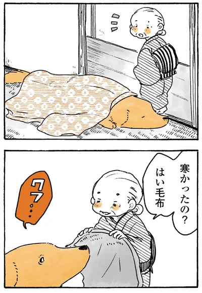 『姫ばあちゃんとナイト-ふたりはきょうも』より
