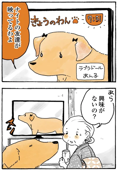 『姫ばあちゃんとナイト-ふたりはきょうも』より