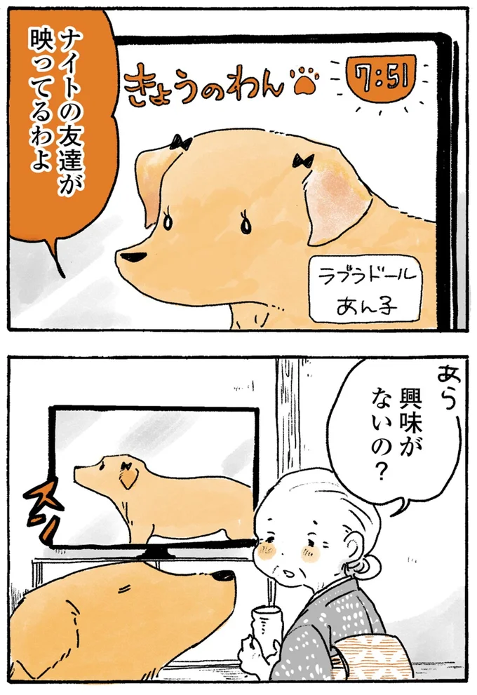 『姫ばあちゃんとナイト-ふたりはきょうも』より
