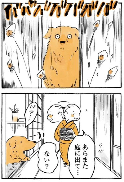 『姫ばあちゃんとナイト-ふたりはきょうも』より