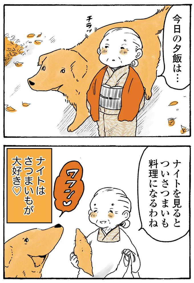 『姫ばあちゃんとナイト-ふたりはきょうも』より