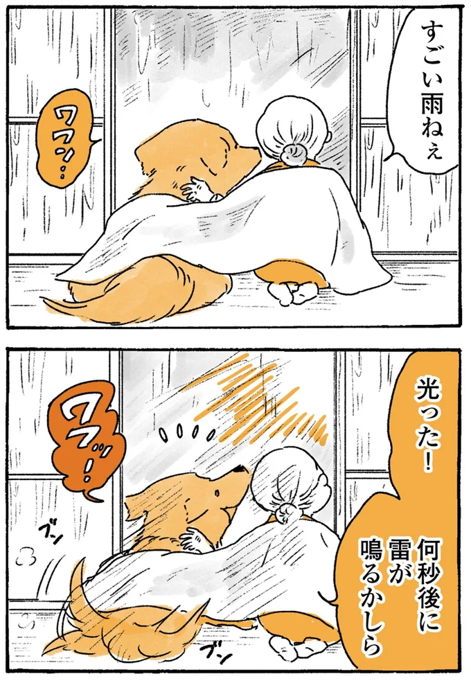 『姫ばあちゃんとナイト-ふたりはきょうも』より