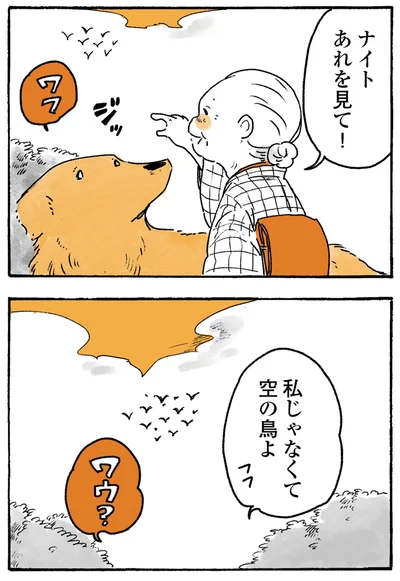 『姫ばあちゃんとナイト-ふたりはきょうも』より