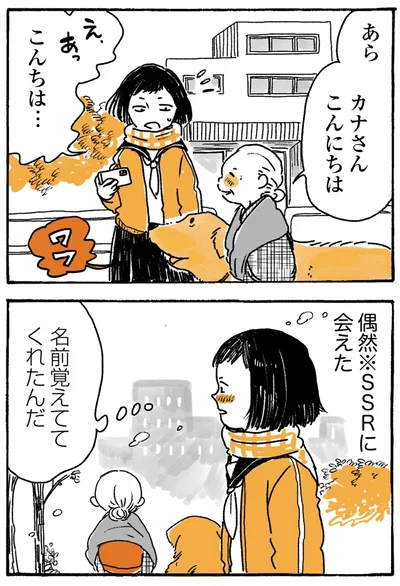 『姫ばあちゃんとナイト-ふたりはきょうも』より