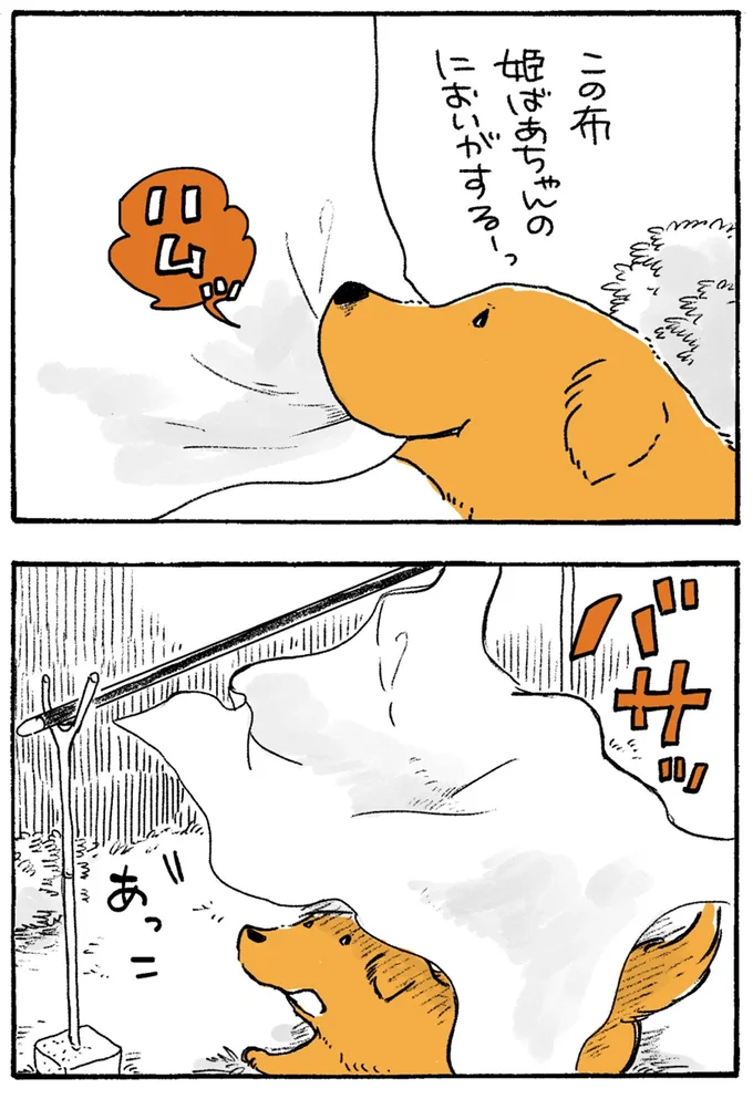 『姫ばあちゃんとナイト-ふたりはきょうも』より