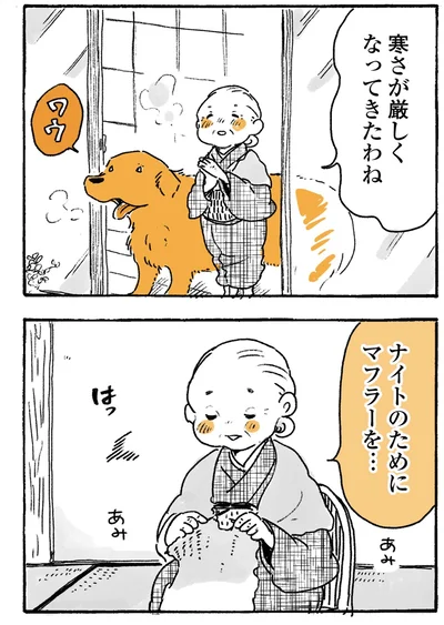 『姫ばあちゃんとナイト-ふたりはきょうも』より