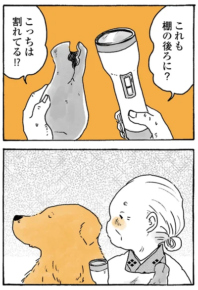 『姫ばあちゃんとナイト-ふたりはきょうも』より