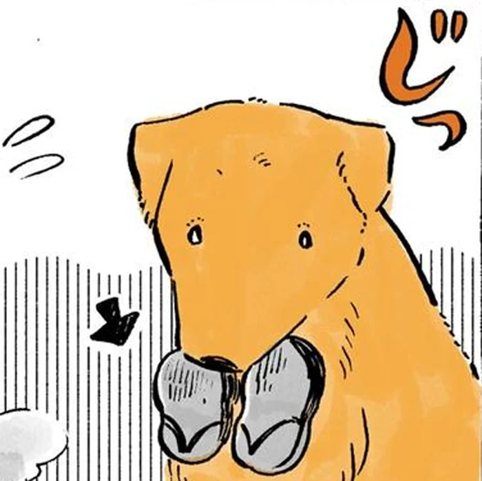 草履をくわえてスタンバイ！おばあちゃんとのお散歩が大好きなレトリバー