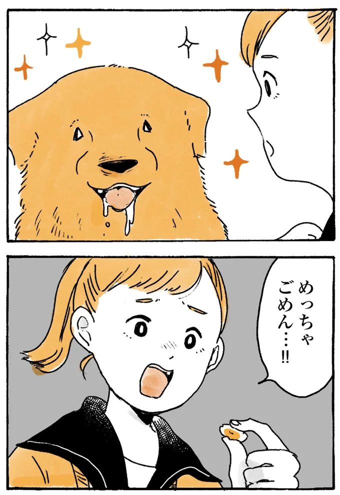 ごめん…!!