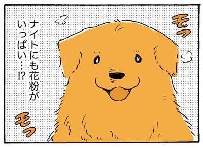 花粉がいっぱい…？