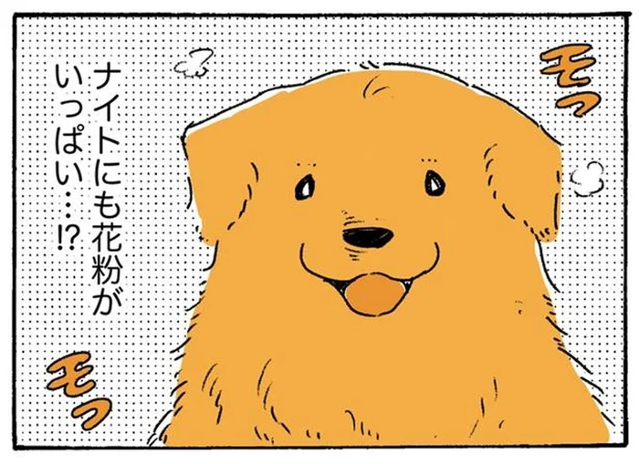 「なでたい！」でも花粉症…レトリバーを前に揺れる女子高生