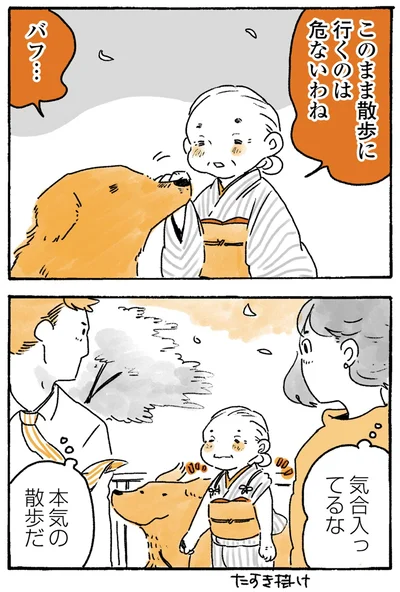 本気の散歩だ