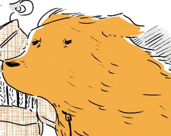 突風に翻弄されながらも。姫ばあちゃんとレトリバーの本気の散歩