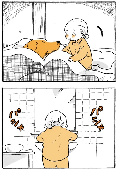 パシャ　パシャ