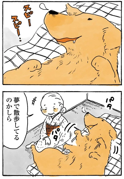 スピースピー