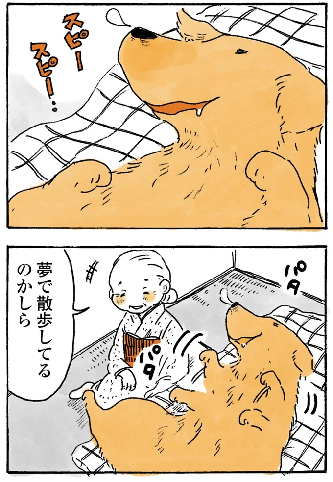 スピースピー