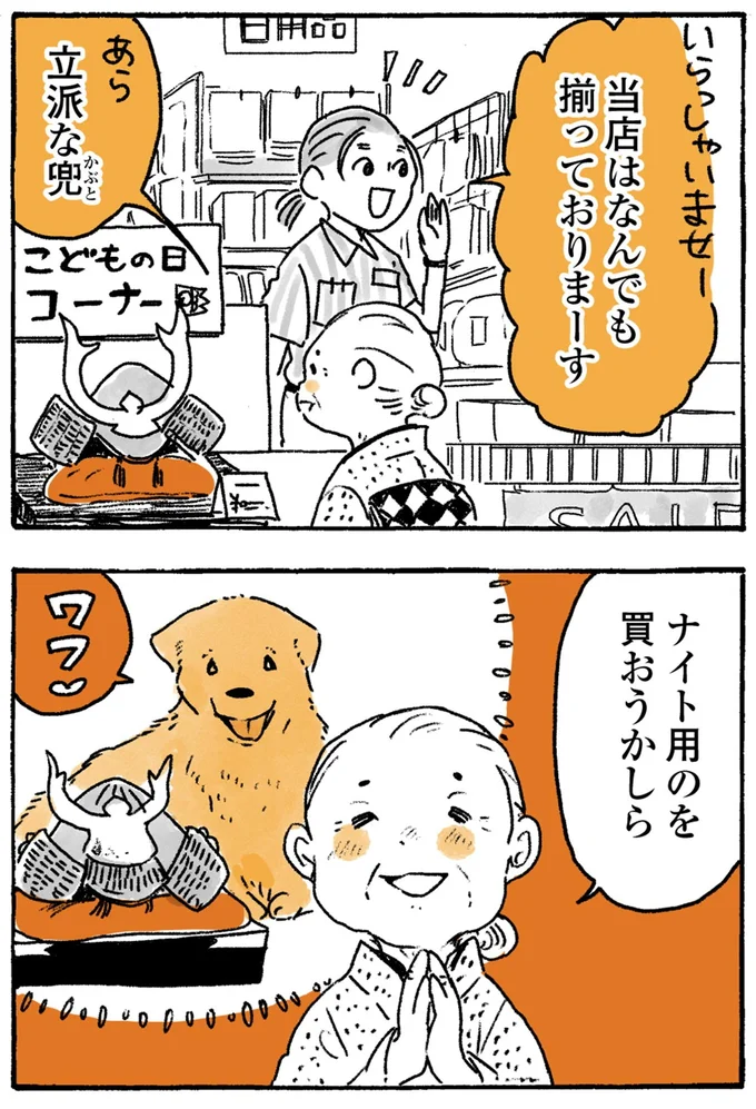 立派な兜