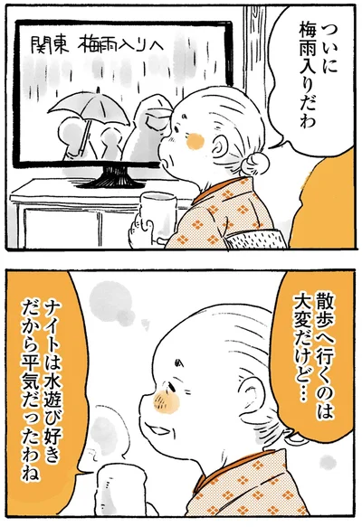 ついに梅雨入りだわ