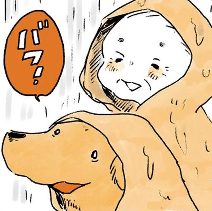 会えたらちょっと幸せ。雨の日を彩るおばあちゃんとレトリバー