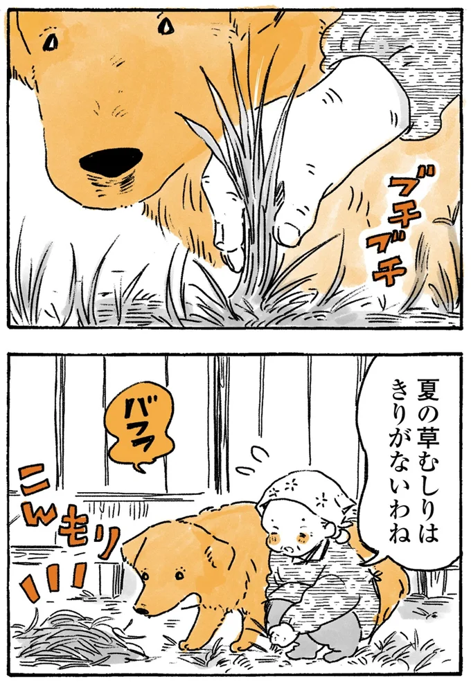 夏の草むしり