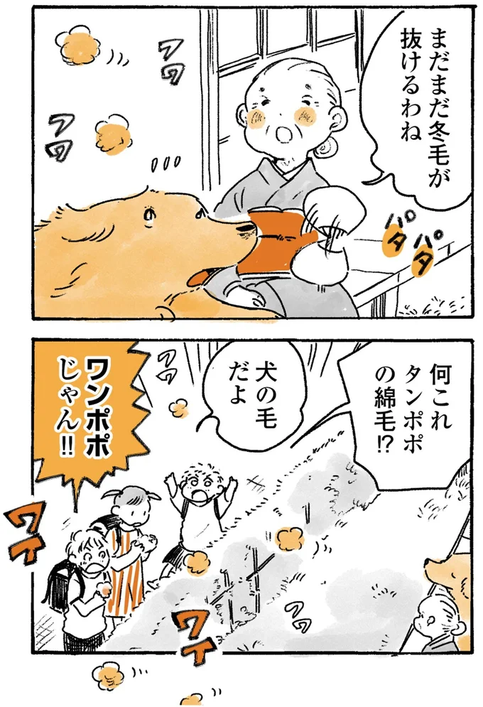 犬の毛だよ