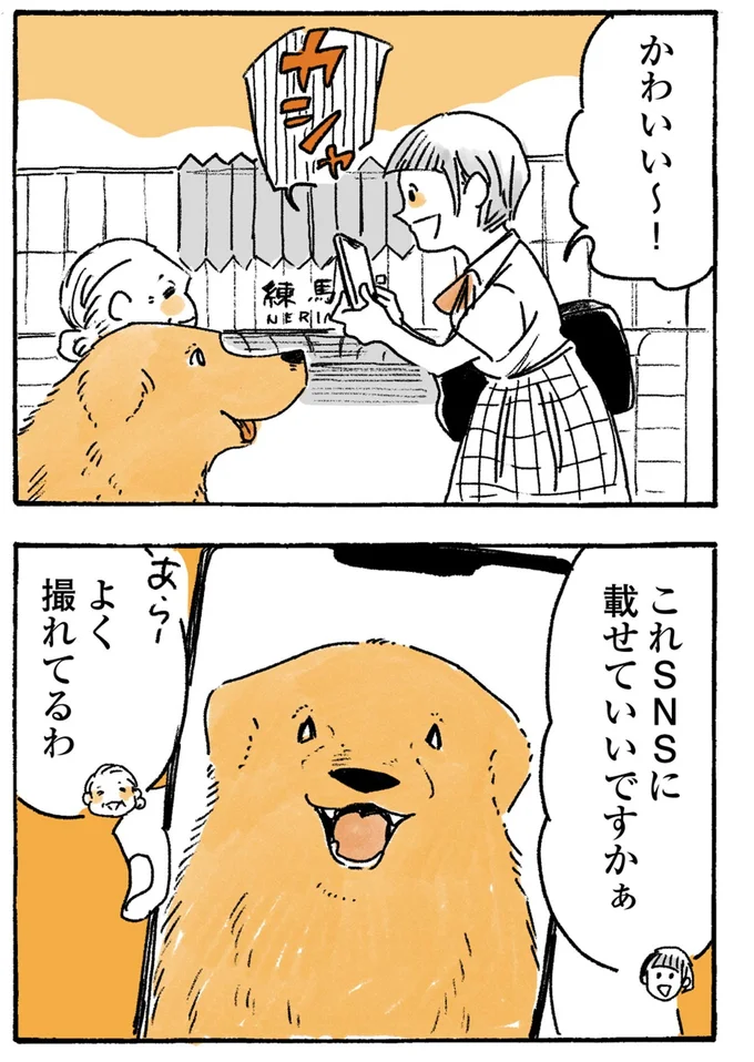 よく撮れてるわ