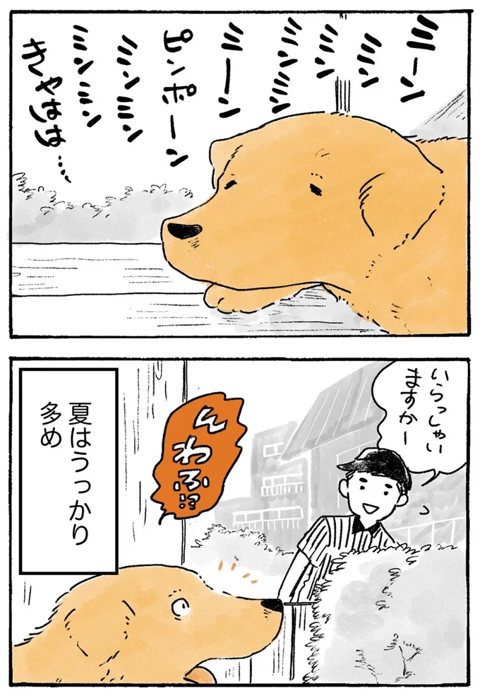 夏はうっかり多め