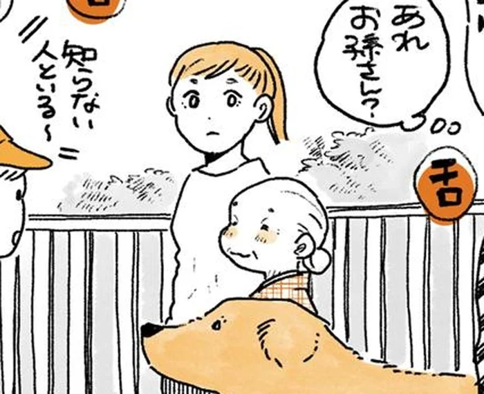 お散歩に同行して実感。姫ばあちゃんとレトリバーの注目度