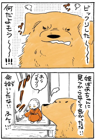 命拾いしたな！！