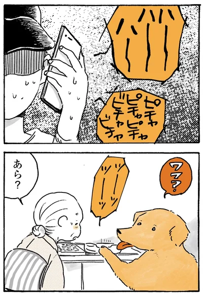 あら？