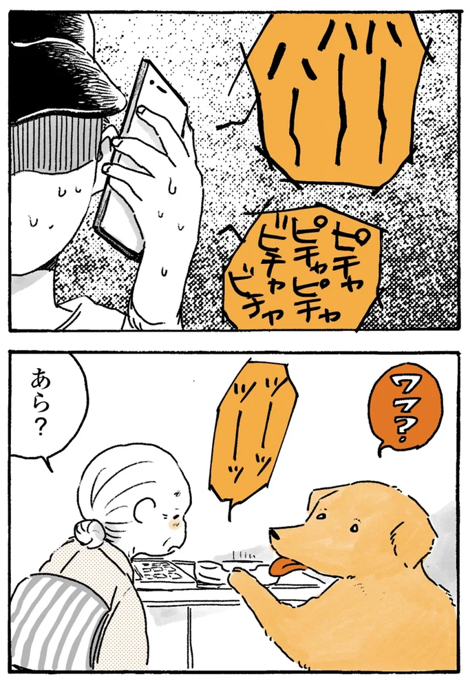 あら?