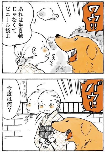 今度は何？