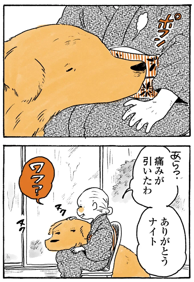 痛みが引いたわ