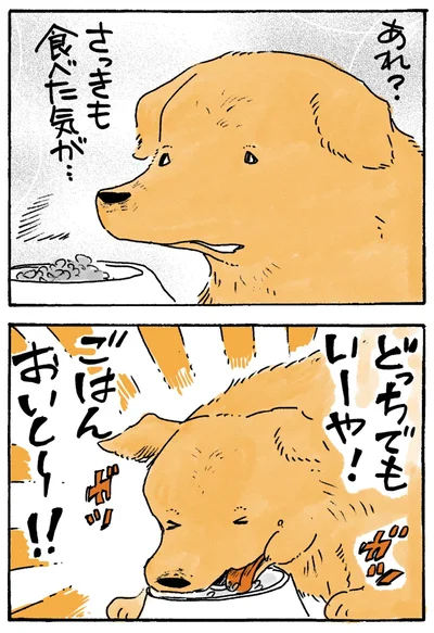 どっちでもいーや！