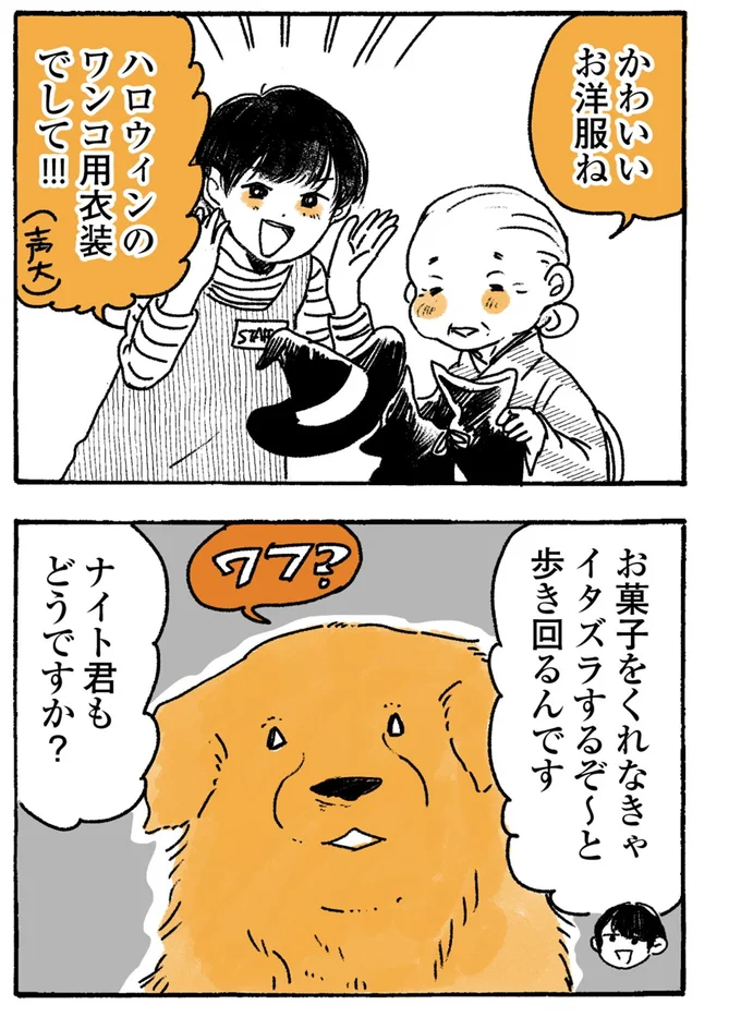 ハロウィンのワンコ用衣装