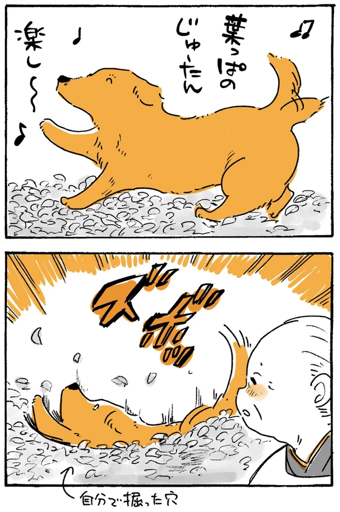 ズボッ