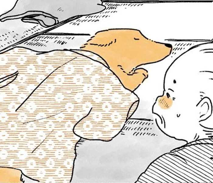 おばあちゃんのぬくもりが大好き。着物にくるまるレトリバー