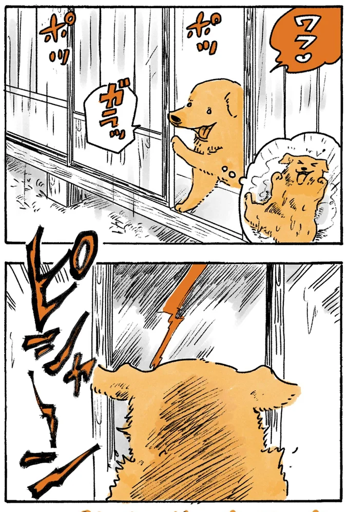 ピシャーン