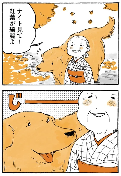 紅葉が綺麗よ
